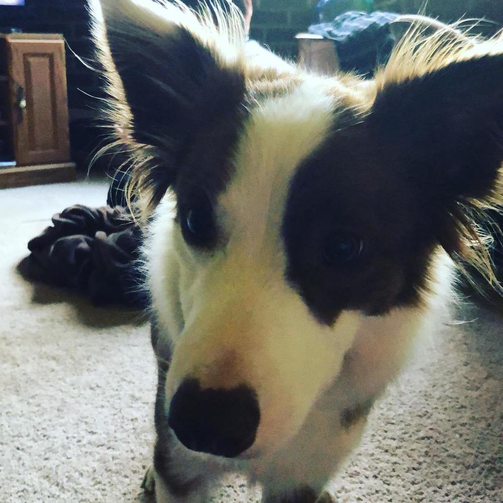 Meet your Posher, Kristen